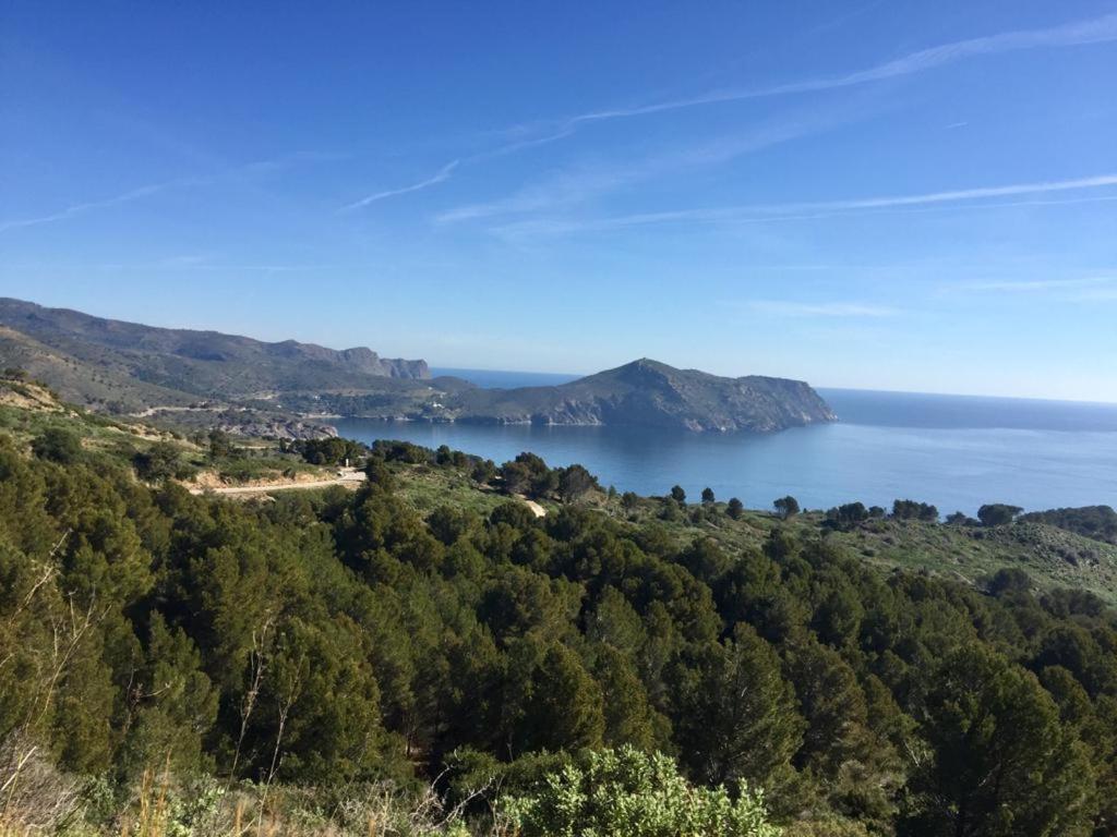Casa Els Grecs Villa Roses Eksteriør bilde